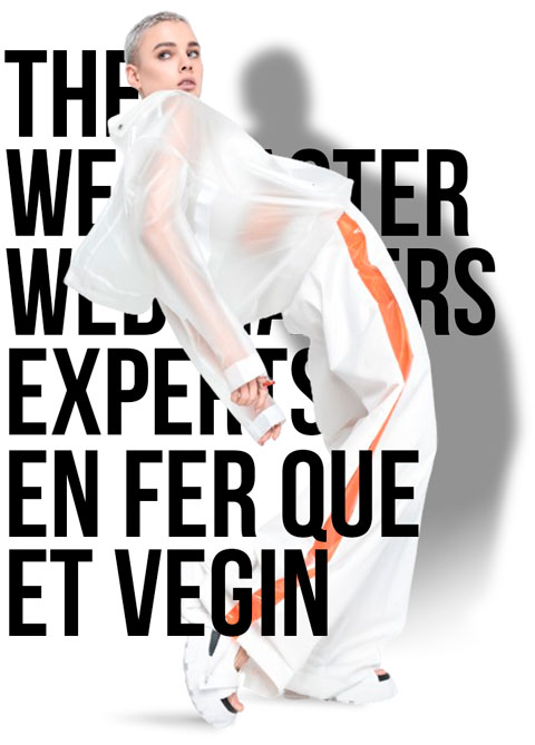 The Webmaster Disseny web disseny d’e-commerce SEO